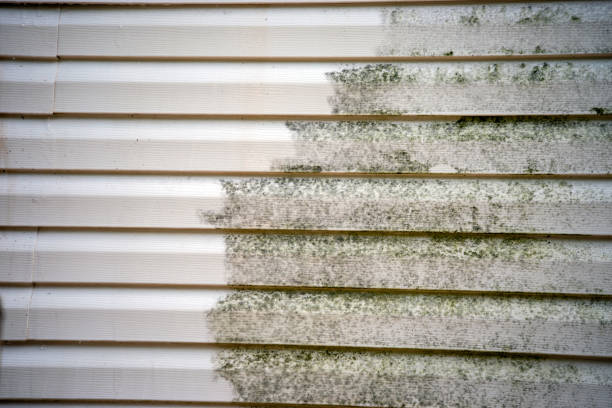 Best Shed Removal  in Dodson Branch, TN