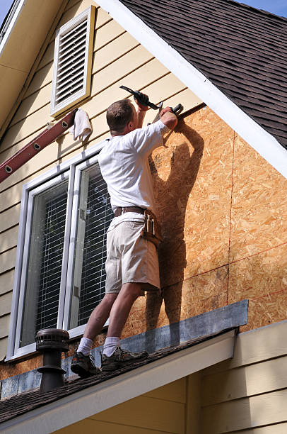 Best Hoarding Cleanup  in Dodson Branch, TN
